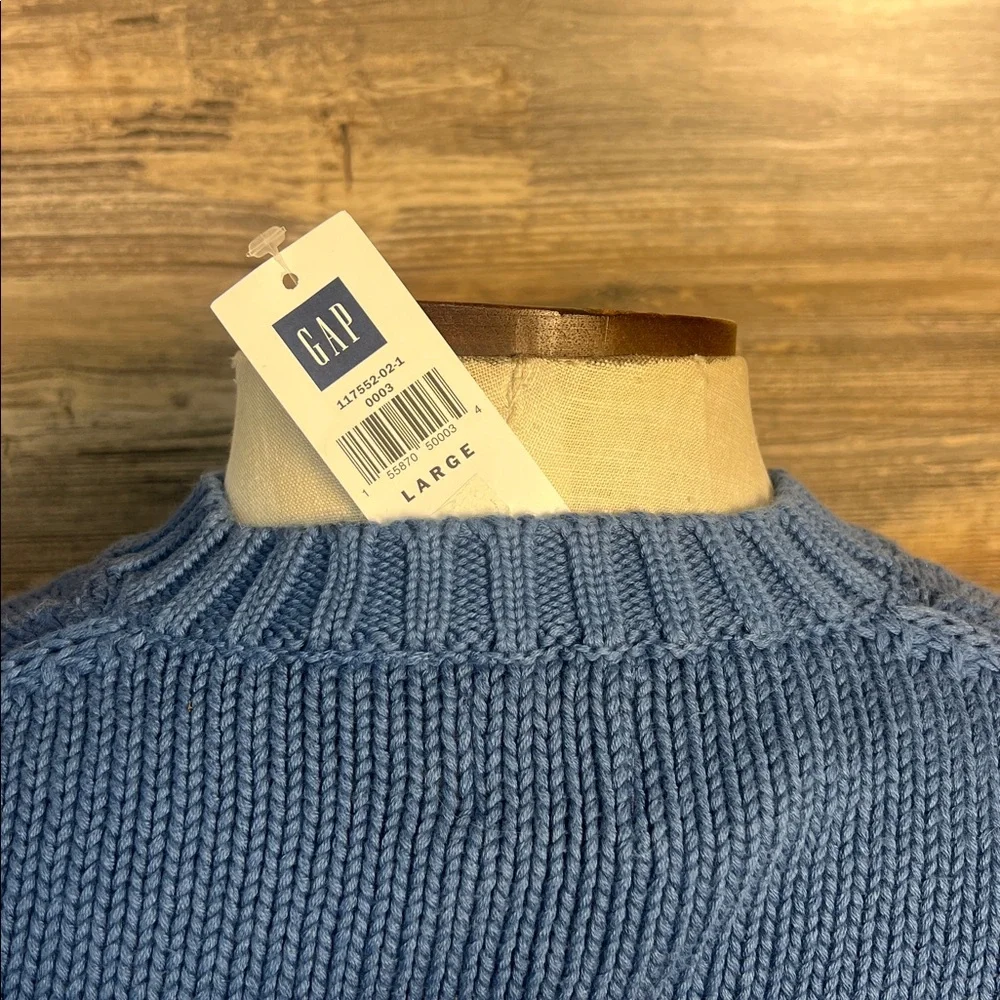 GAP men pullover